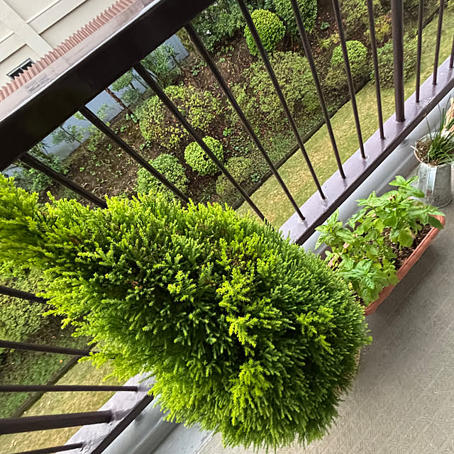 syutmmさんの部屋