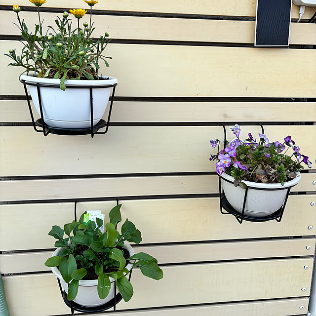 Kisakiさんの部屋