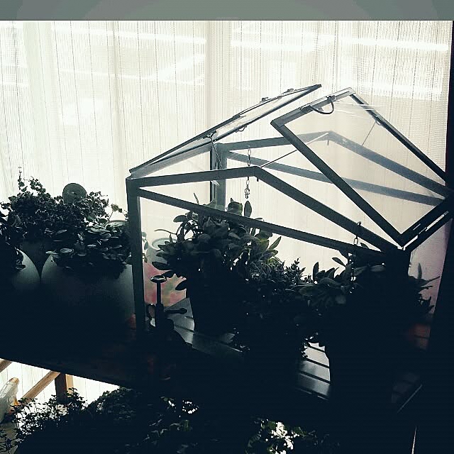 maki.tsuboyaさんの実例写真