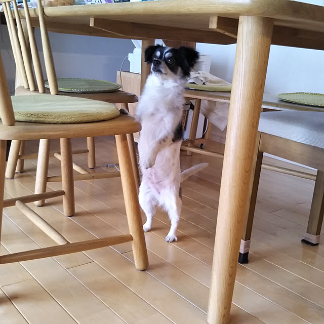 yukkoさんの実例写真