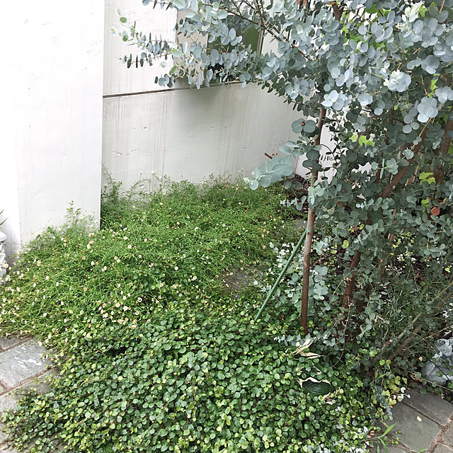 yuchiさんの実例写真