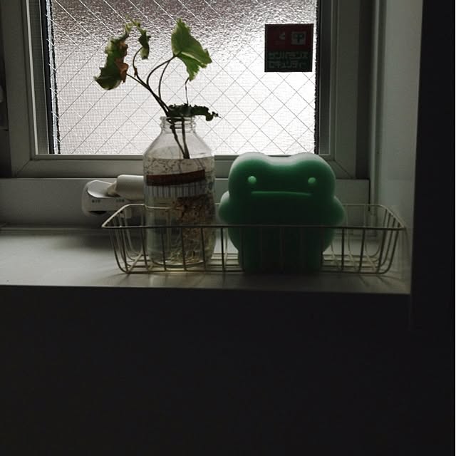 Megamouthさんの実例写真