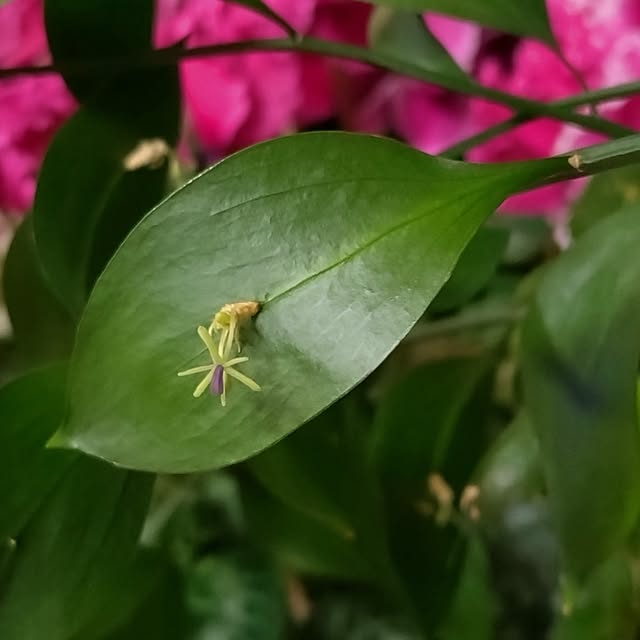 NOAHさんの部屋