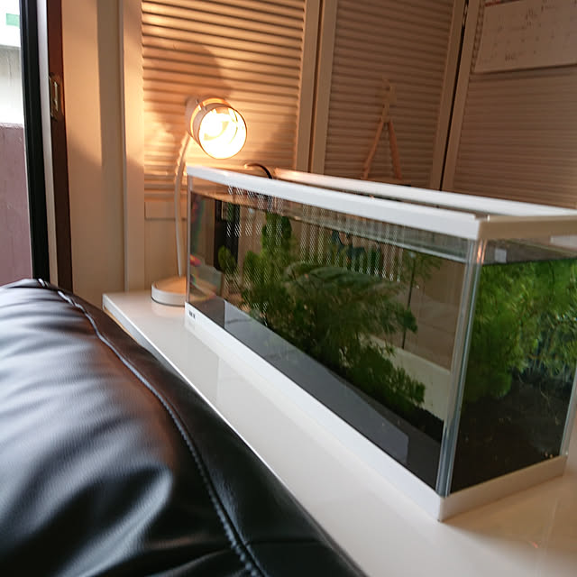 kaoriさんの実例写真