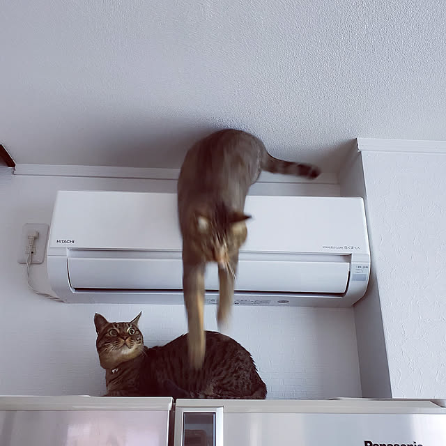 nonchanさんの実例写真
