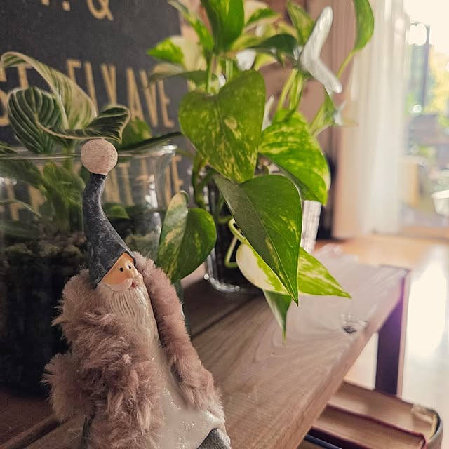 satomiさんの実例写真