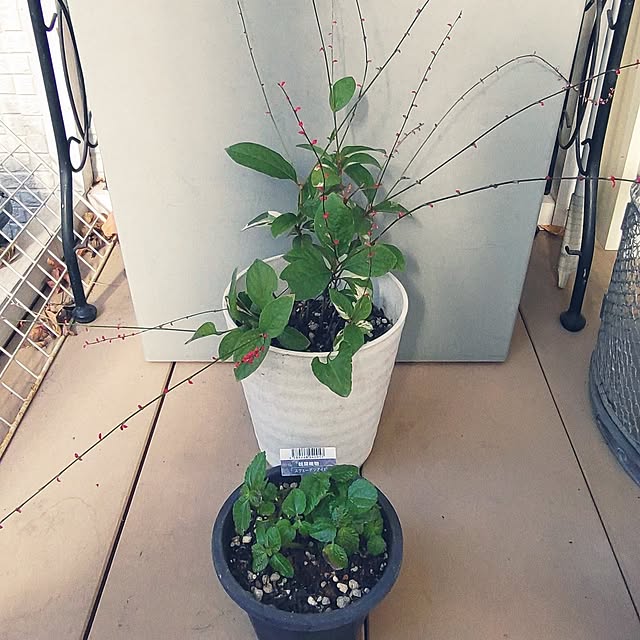 Bienvenueさんの実例写真