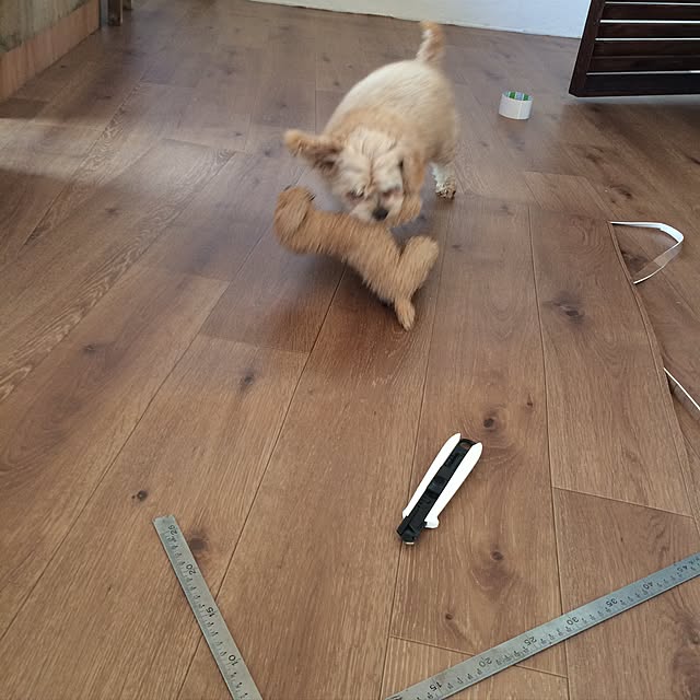 kinacoさんの実例写真