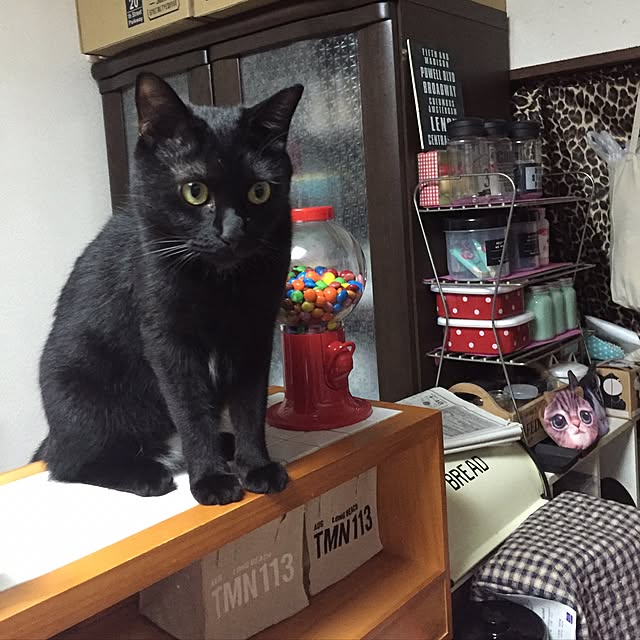 vivienne.coco-keiさんの実例写真