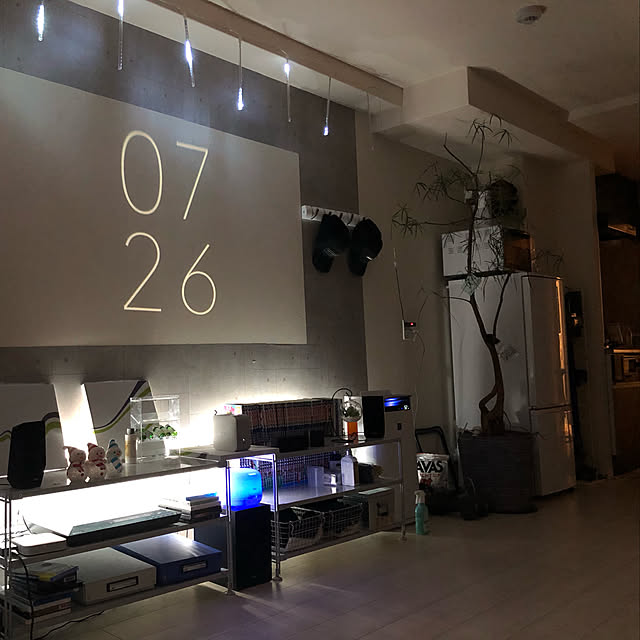 部屋全体/照明/観葉植物/モノトーンのインテリア実例 - 2018-12-07 16:36:46