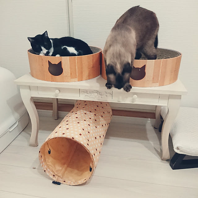 chatnoirさんの実例写真