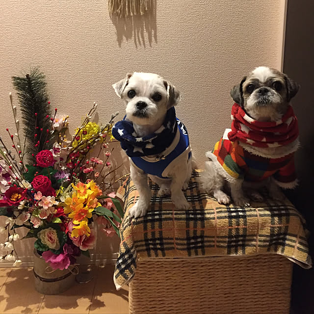 emiさんの実例写真