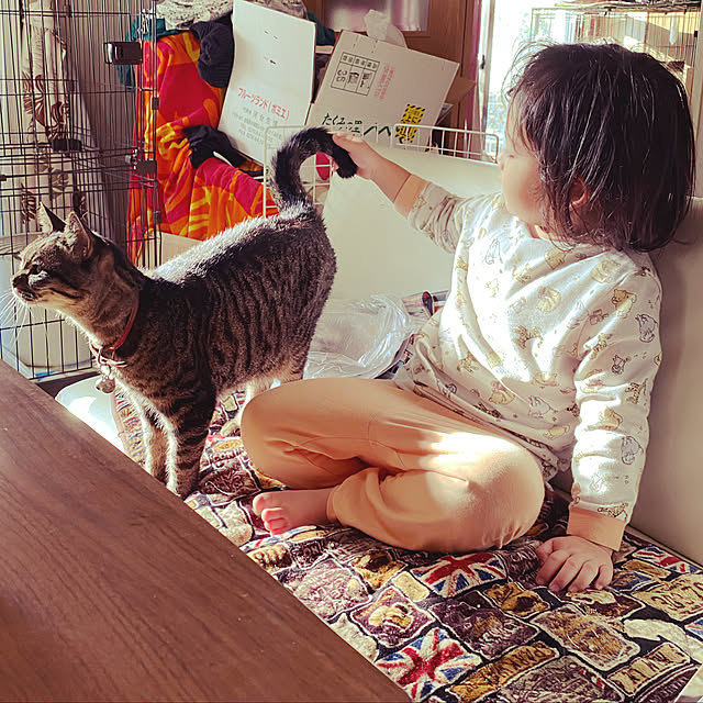 moainanoさんの実例写真