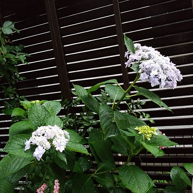 mimi828さんの実例写真