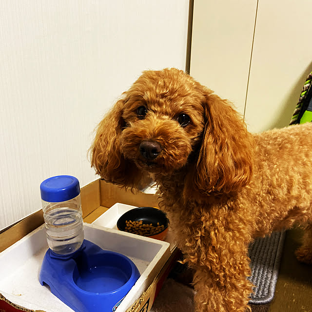 Hiromeさんの実例写真