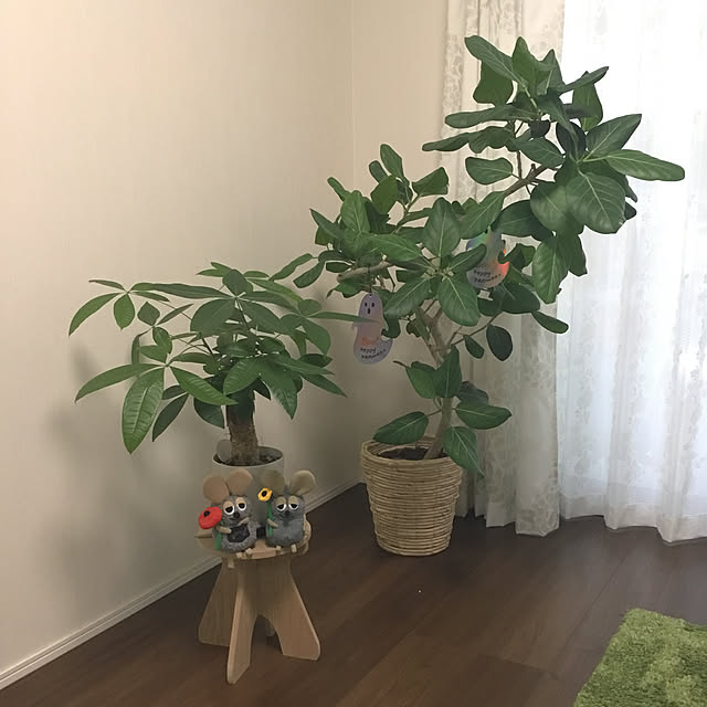 kanacapriccioさんの実例写真