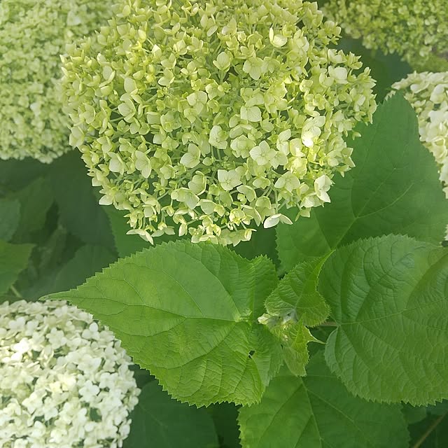 Rさんの部屋