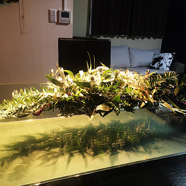 観葉植物/照明/男前/部屋全体のインテリア実例 - 2020-11-01 19:03:46