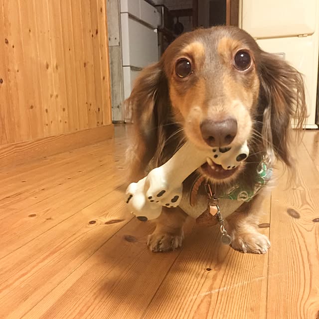 yupponさんの実例写真