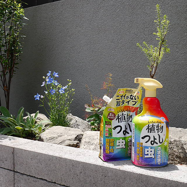 Norikaさんの実例写真