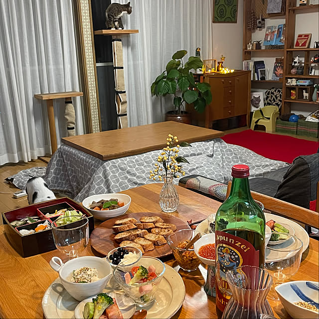 nobikoさんの部屋