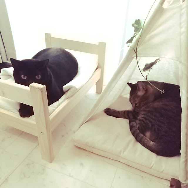KARENさんの実例写真