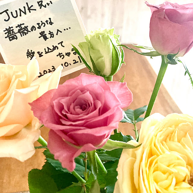 chachamamaさんの実例写真