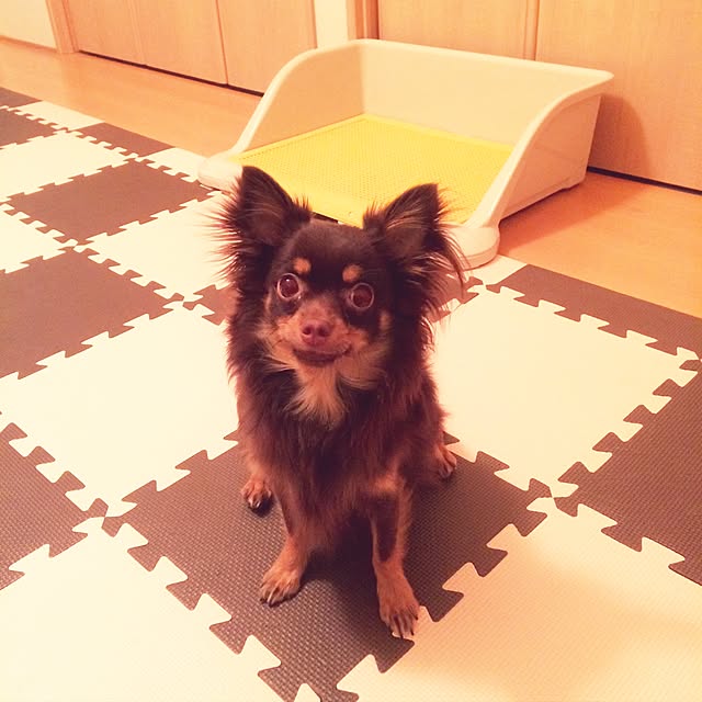 miyuさんの実例写真