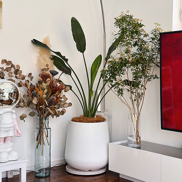 hanahana1444さんの部屋