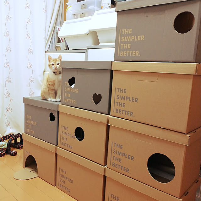 bentaro0401さんの実例写真
