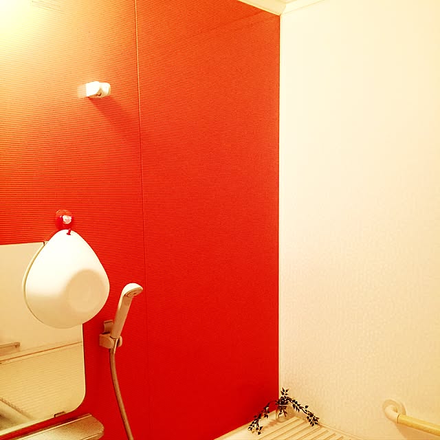 issei19maasa10さんの実例写真
