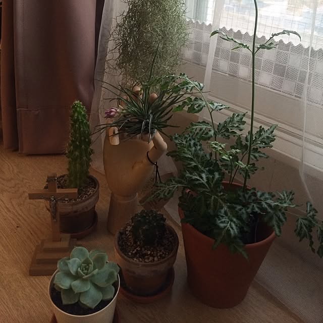 EMIさんの実例写真