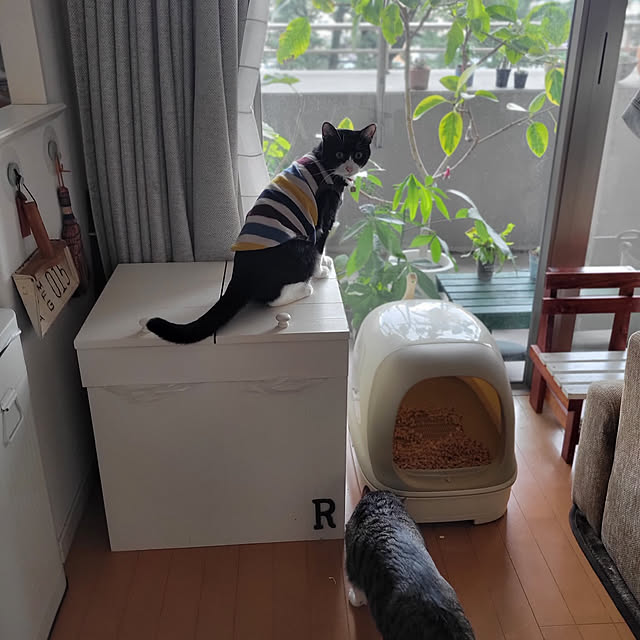 karinさんの実例写真
