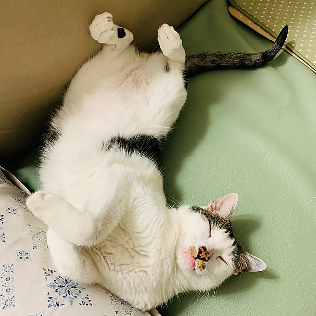 pcu110さんの実例写真