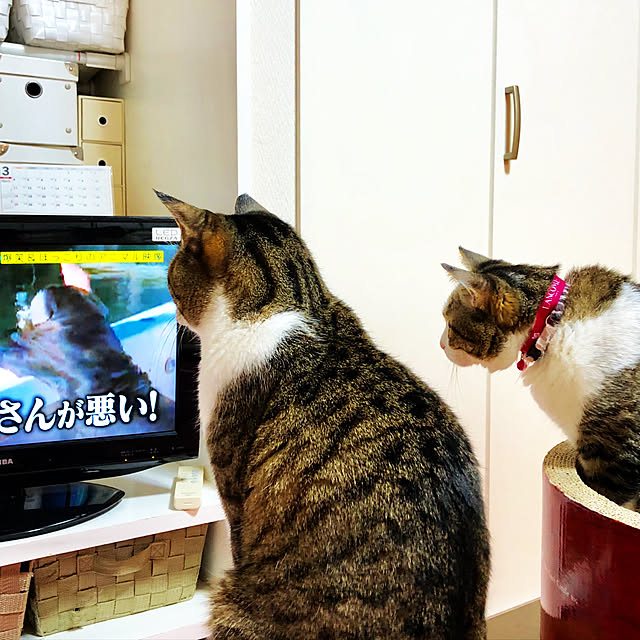 nnmmさんの実例写真