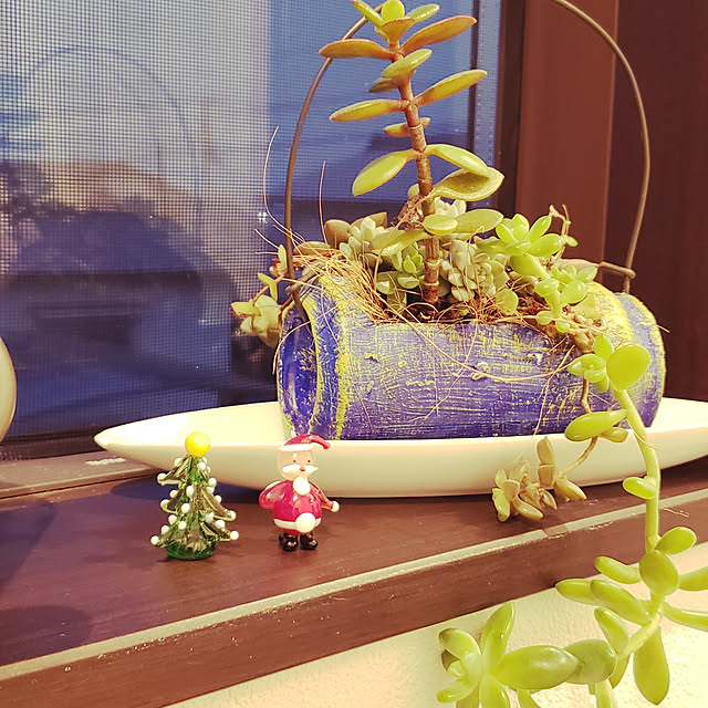 zenoさんの実例写真