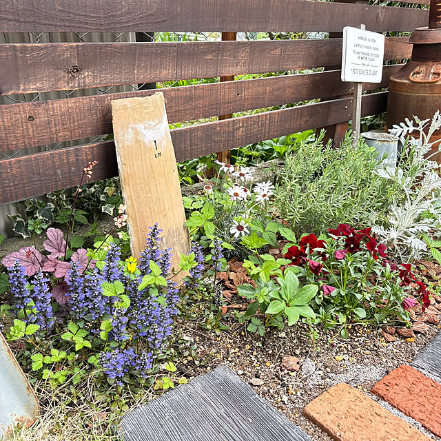 mami3さんの部屋