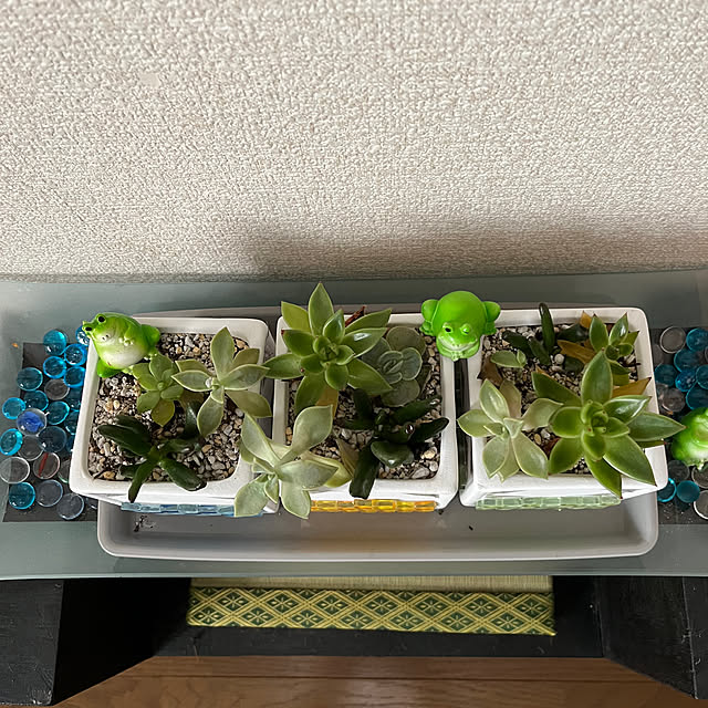 ritsukoさんの部屋