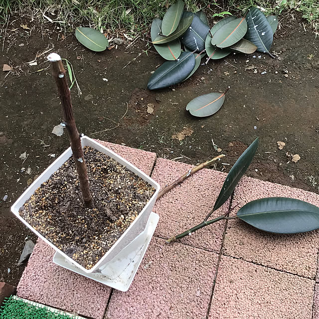 houenさんの部屋