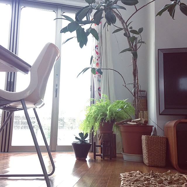hiroさんの実例写真