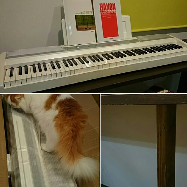 1ldksさんの実例写真