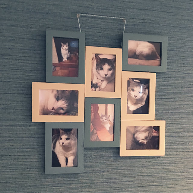 hakuさんの実例写真