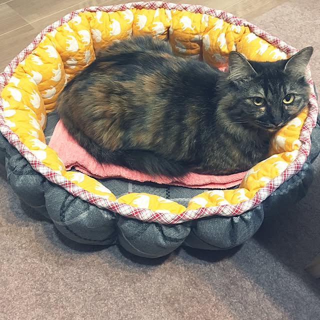 mikomaruさんの実例写真