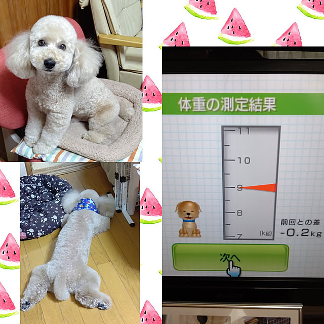 yumirinさんの実例写真