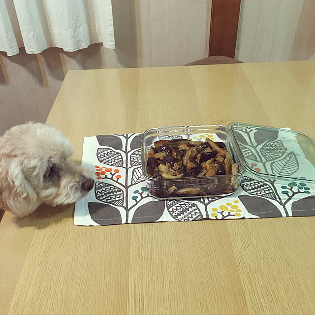 yukarimamaさんの実例写真