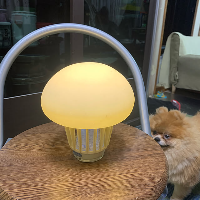 pichikoさんの実例写真