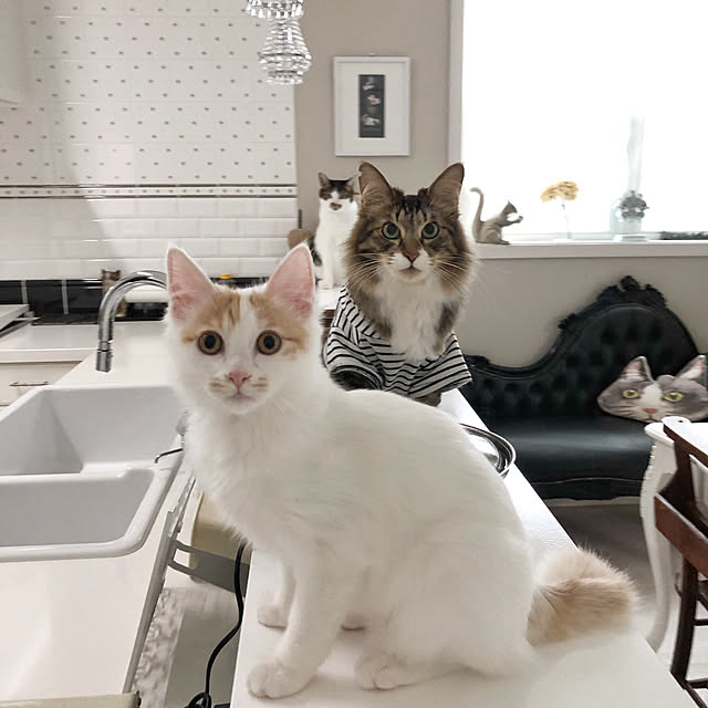 yuchiさんの実例写真