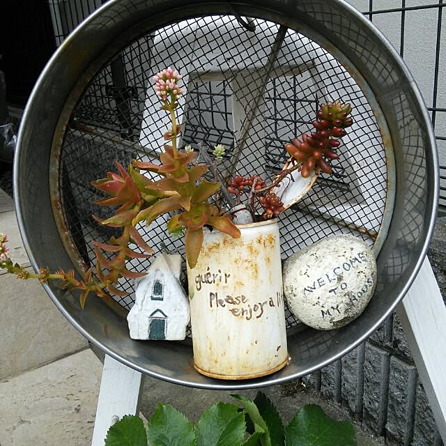 satokotokoさんの実例写真