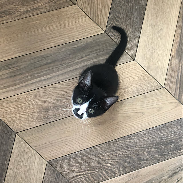 artyさんの実例写真
