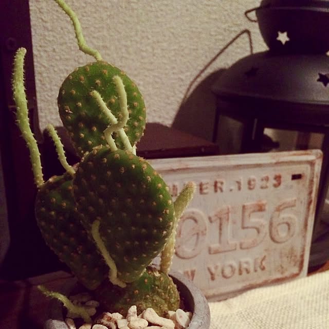 tomoさんの実例写真
